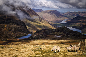 Fototapeta premium Lake District Landscape