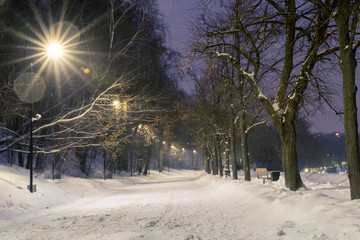 Evening alley in the Moscow park "Sparrow Hills"