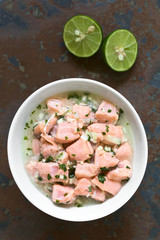 Chilean salmon ceviche prepared with onion, garlic, fresh coriander, salt and lemon juice, photographed overhead with natural light (Selective Focus, Focus on the top of the ceviche)