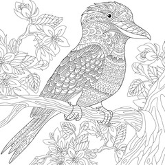 Stylized australian kookaburra bird and cherry blossoming tree. Freehand sketch for adult anti stress coloring book page with doodle and zentangle elements.