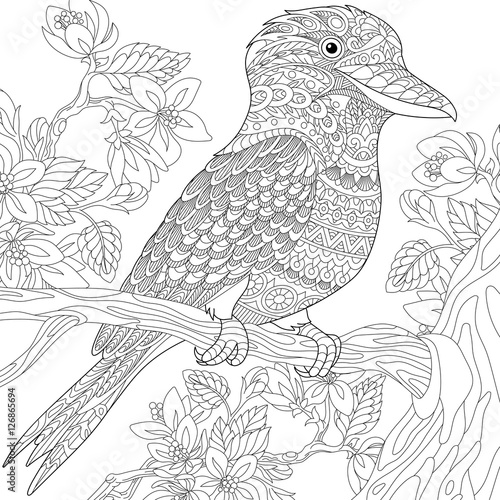 australian bird coloring pages - photo #26