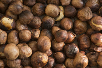roasted hazelnuts
