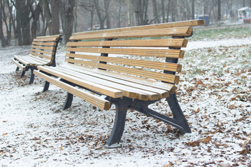 bench winter