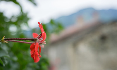 Mountains in Italy near the lake Como in summer