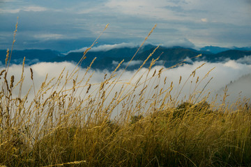 Mountains in Italy near the lake Como in summer