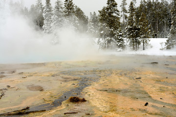Geothermal pool Yellowstone Wyoming