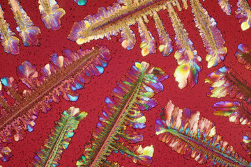 Colorful micro crystals in polarized light