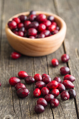 The tasty american cranberries.