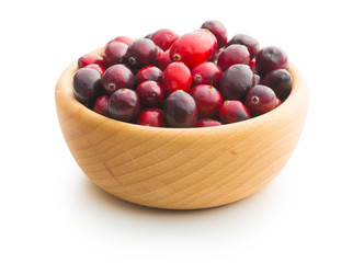 The tasty american cranberries.