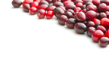 The tasty american cranberries.