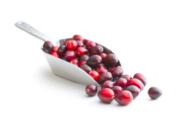 The tasty american cranberries.