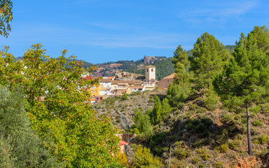 Village hidden in the forest