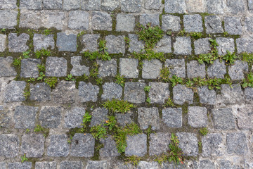 Old cobblestone with grass. Backgrounds and textures