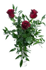 Beautiful bouquet of red roses isolated