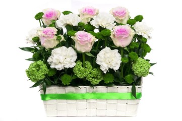 basket of beautiful roses isolated   