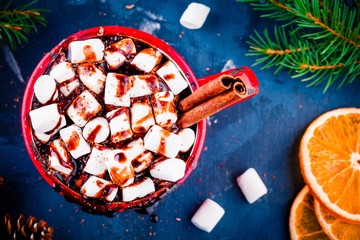 Hot cocoa with chocolate, marshmallow and cinnamon
