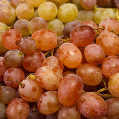 Sweet grapes/Close-up of grapes of different kinds