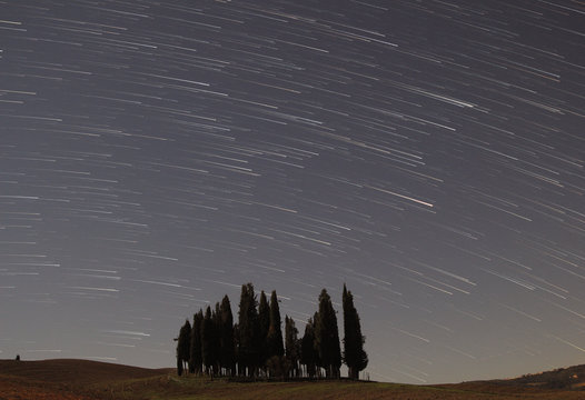 Startrail con cipressi