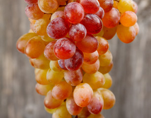 bunch of grapes/Close-up of grapes of different kinds