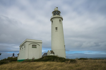 Fototapeta na wymiar Hurst Point Lighthouse and Hurst Castle