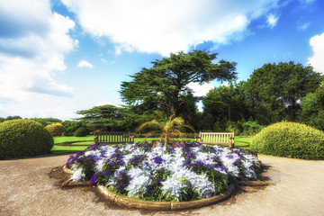 Path along trees in summer with blue sky