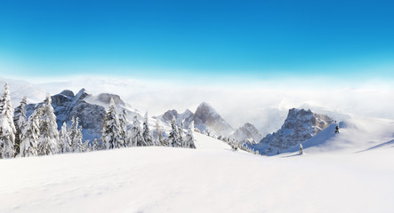 Beautiful winter landscape with trees