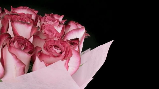 Rotating clockwise pink rosebuds on a dark background