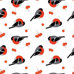 Seamless pattern with bullfinchs and rowan berries. Vector illustration on white background.