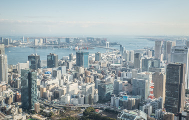 Tokyo aerial view