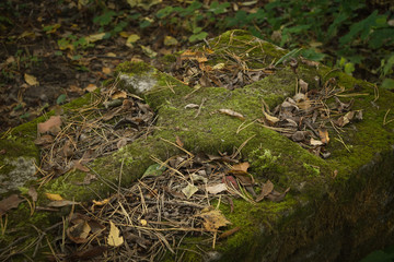 Gravestone on ancient russian graveyard