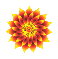 Colored flower vector isolated on white, fiore colorato vettoriale isolato su sfondo bianco