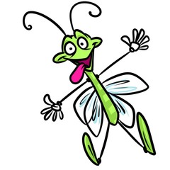 Insect cricket cartoon illustration isolated image character
