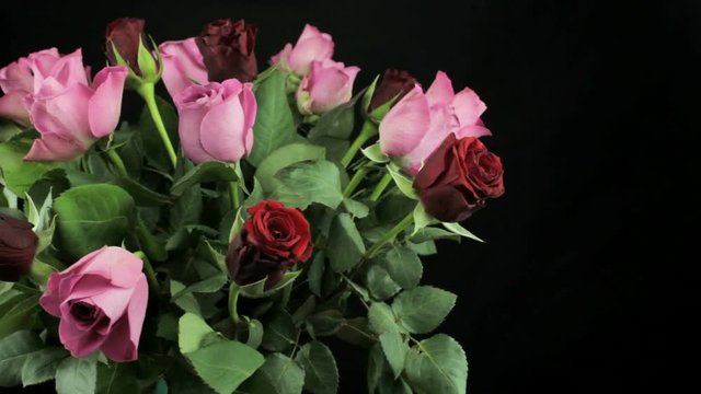Bouquet of roses on a black background rotates