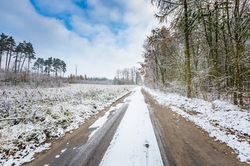 Winter forest landscape with sandy road