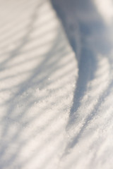Fototapeta na wymiar Snow texture with shadows - stripes from a fence