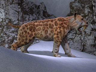 Saber-toothed Cat Mountain - A Saber-toothed Tiger makes his way through the snow as he looks for mountain prey in the Eocene Era.