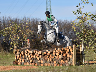 équitation