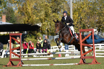 show jumping