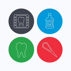 Mouthwash, tooth and dental x-ray icons. Tweezers linear sign. Linear icons on colored buttons. Flat web symbols. Vector