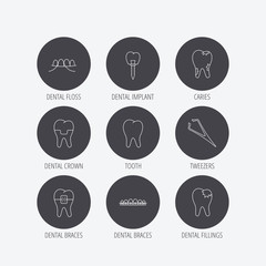 Dental implant, floss and tooth icons. Braces, fillings and tweezers linear signs. Caries icon. Linear icons in circle buttons. Flat web symbols. Vector
