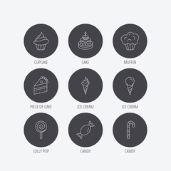 Cake, candy and muffin icons. Cupcake, ice cream and lolly pop linear signs. Piece of cake icon. Linear icons in circle buttons. Flat web symbols. Vector