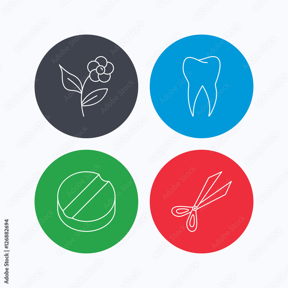 Poster tooth, scissors and tablet icons. flower linear sign. linear icons on colored buttons. flat web symb