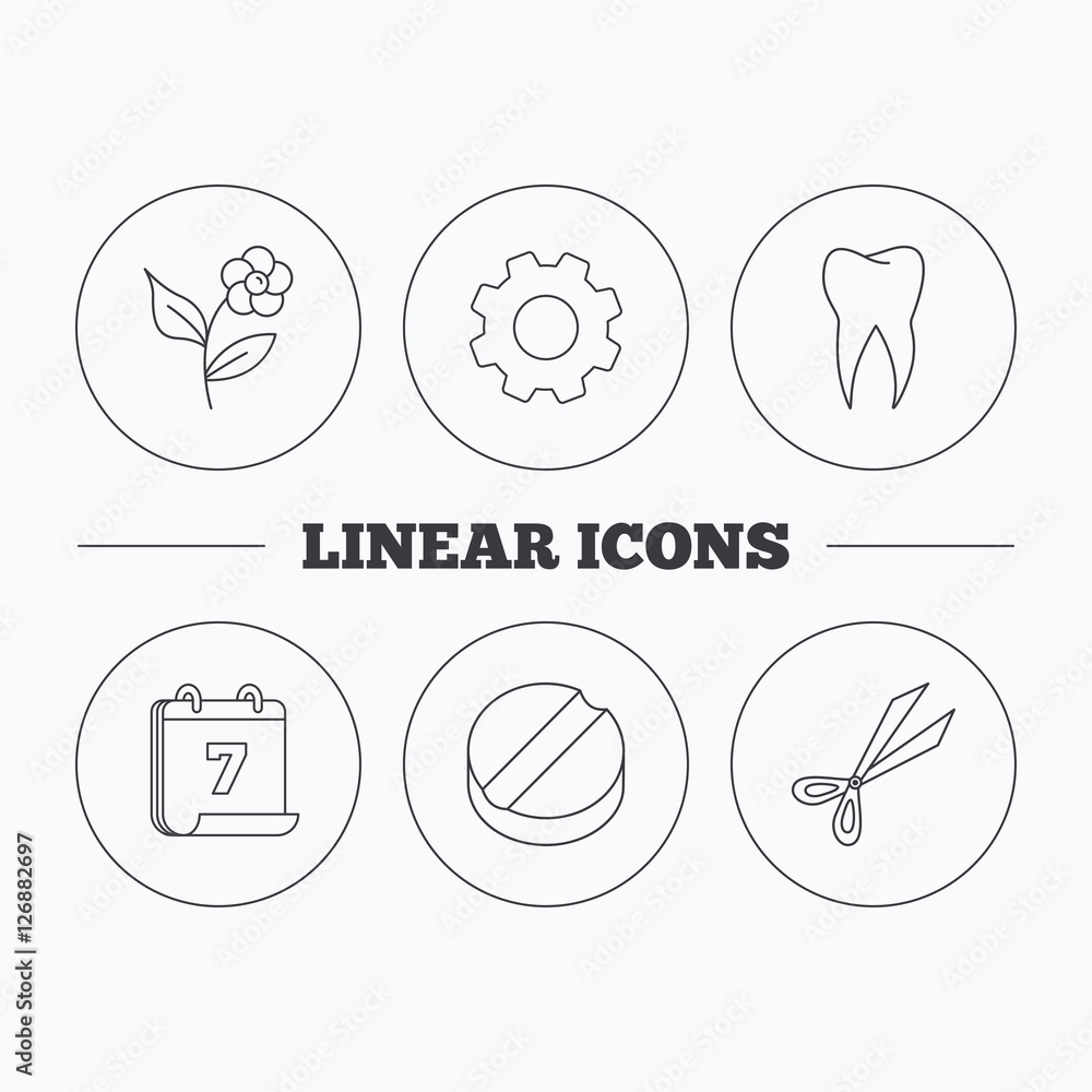 Poster tooth, scissors and tablet icons. flower linear sign. flat cogwheel and calendar symbols. linear ico