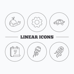 Turtle and jellyfish  icons. Whale linear sign. Flat cogwheel and calendar symbols. Linear icons in circle buttons. Vector