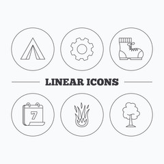 Maple tree, camping tent and hiking boots. Fire flame linear sign. Flat cogwheel and calendar symbols. Linear icons in circle buttons. Vector