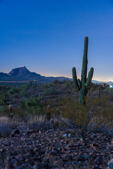 Gunsight Pass in the Moonlight