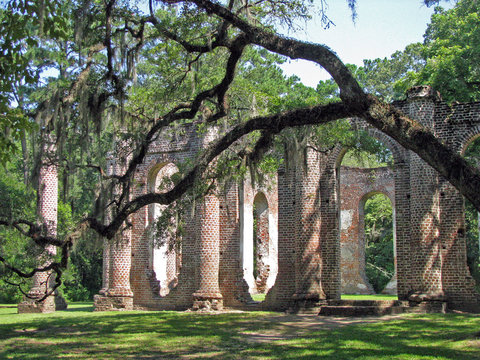 Ruins of Sheldon Church in South Carolina