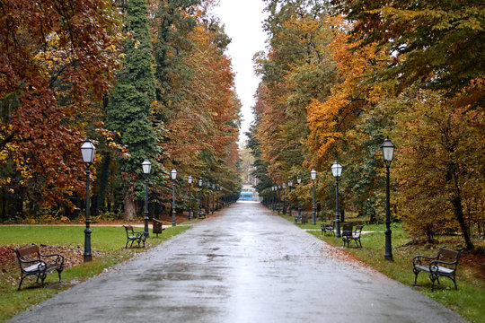Maksimir park on the rainy day, Zagreb, Croatia