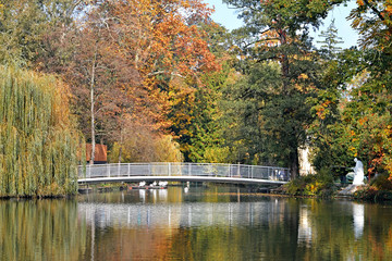 Fototapeta premium Bridge over the lake in Maksimir park, Zagreb, Croatia