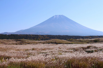 Fototapeta premium 朝霧高原から見た富士山